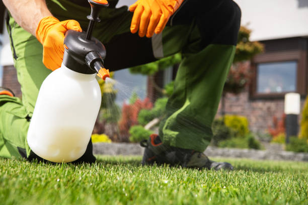 Best Residential Pest Control  in Scottdale, GA