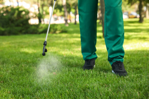 Best Pest Removal Services  in Scottdale, GA