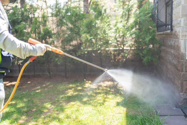 Best Affordable Pest Control Services  in Scottdale, GA