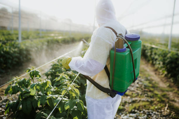 Best Termite Control Services  in Scottdale, GA